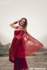 Maroon Cotton Saree - Charulota - Image 3