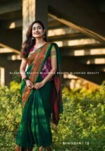 Binodini Package - Image 2