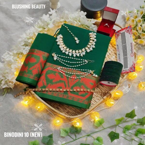 Binodini Package