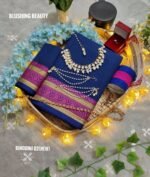 Binodini Package