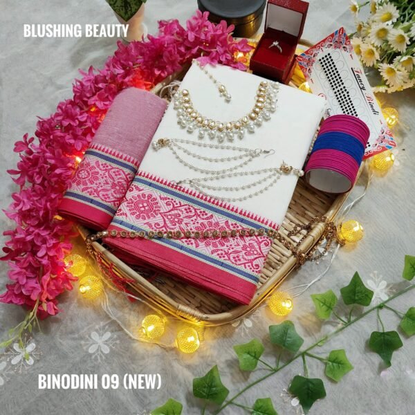 Binodini Package